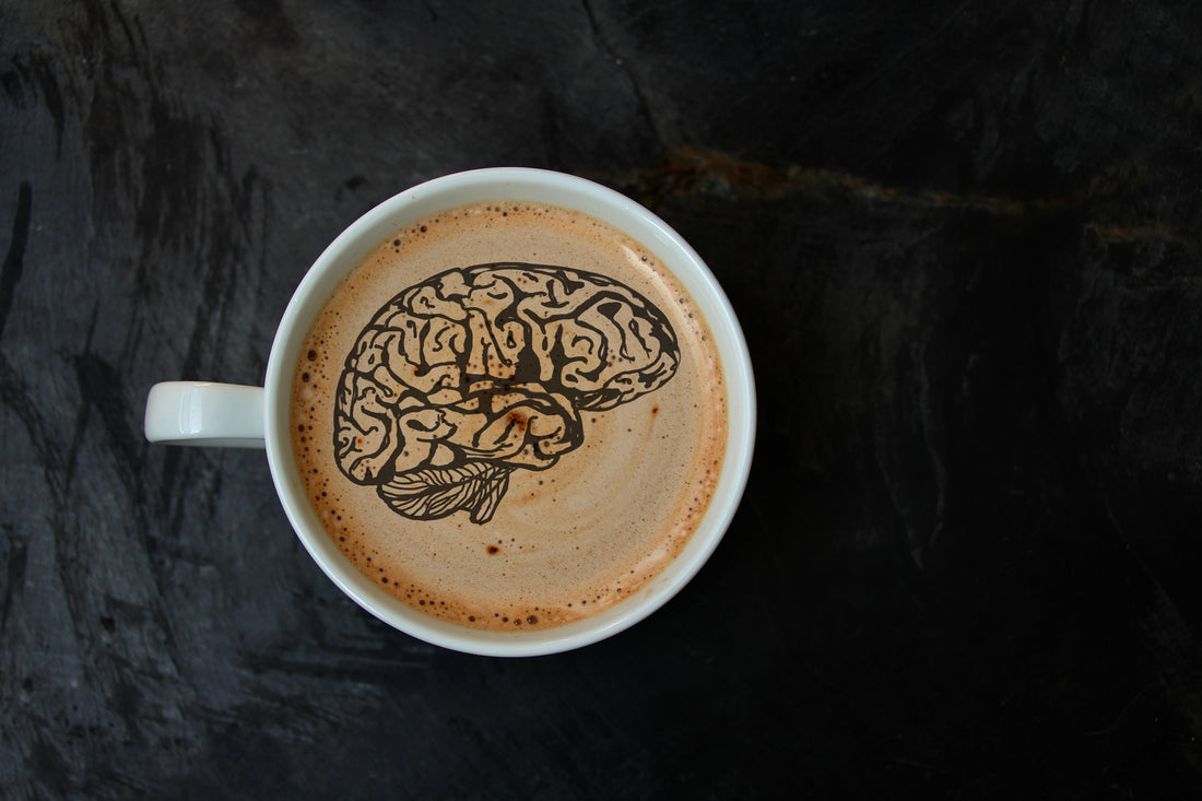 Your Coffee Might Be Quietly Protecting Your Brain (You’re Welcome)