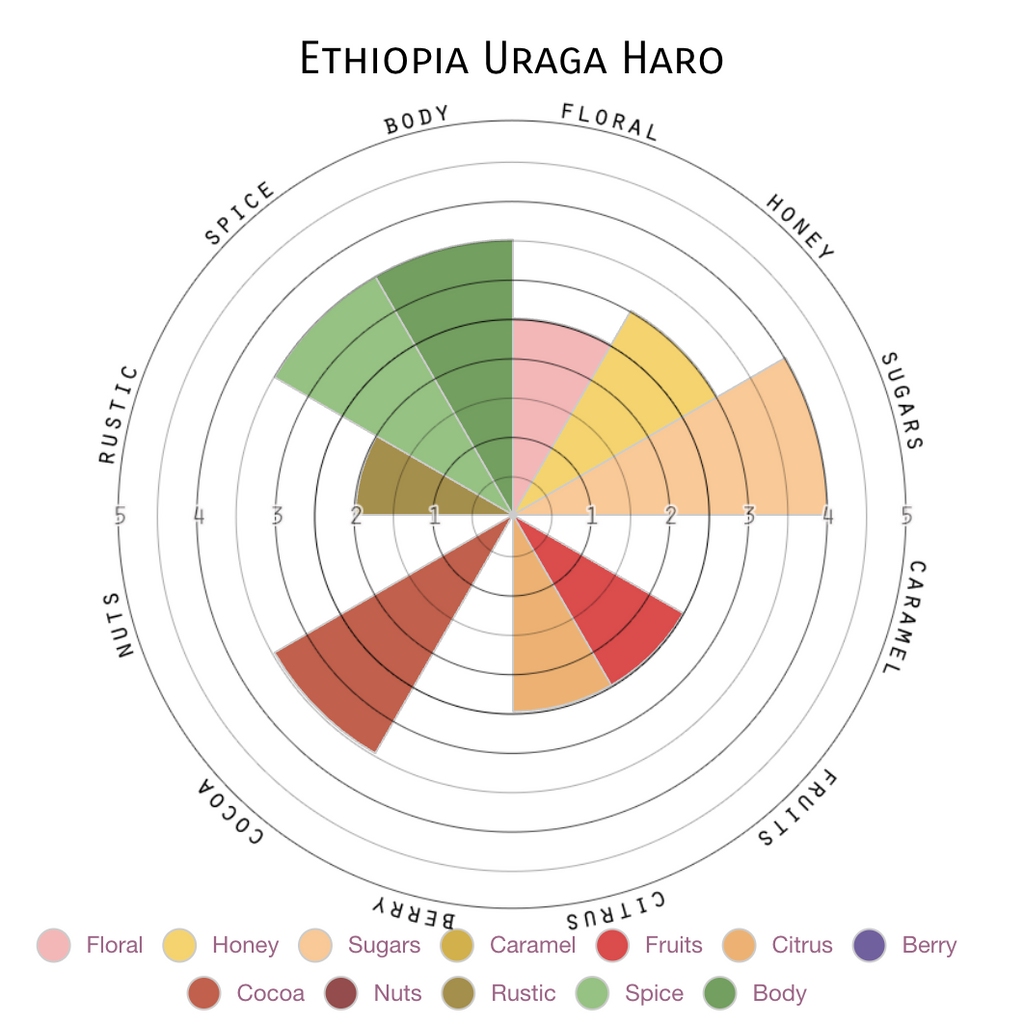 Ethiopia Uraga Haro