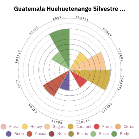 Guatemala Huehuetenango Silvestre Velasquez