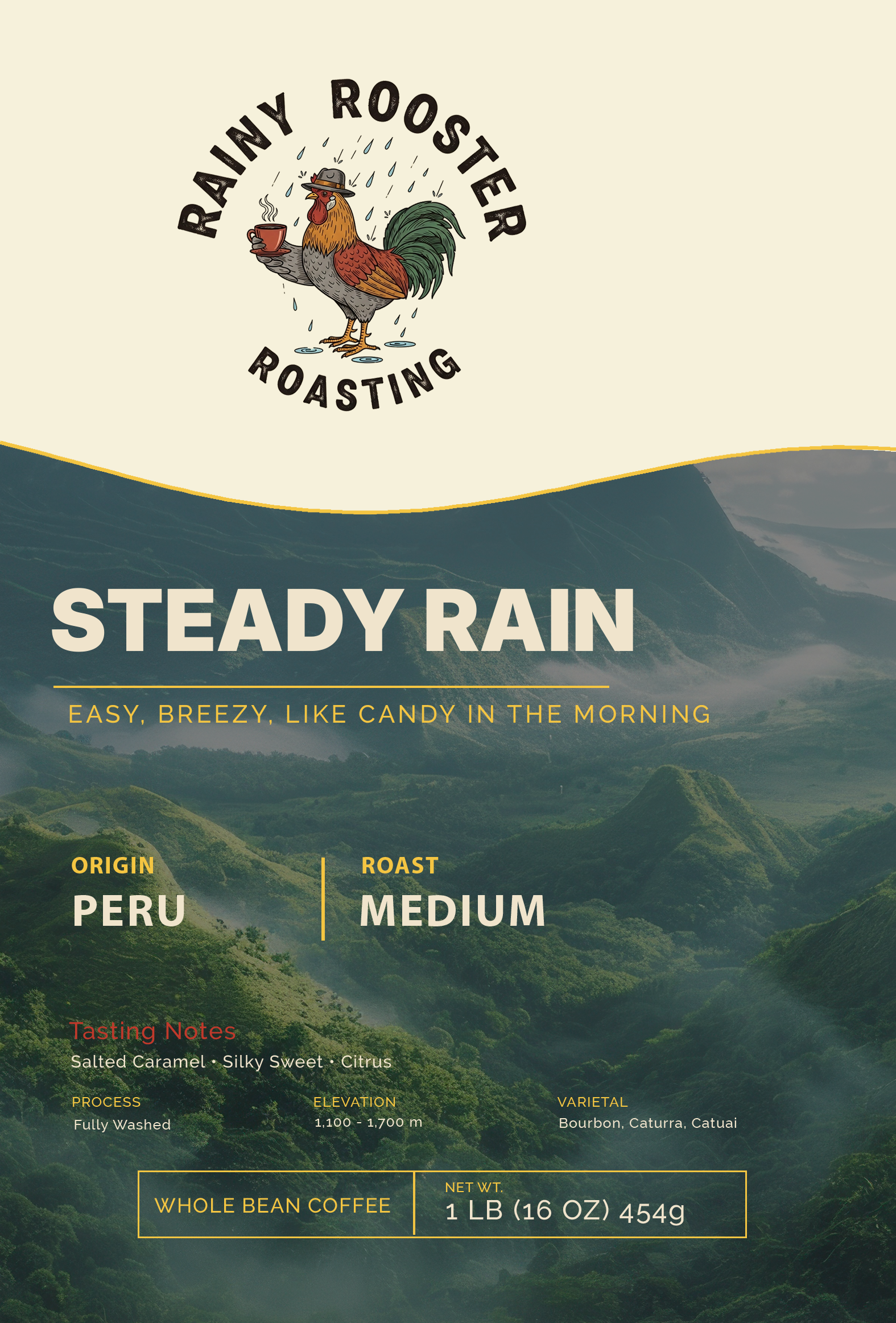 Steady Rain (Peru single-origin)