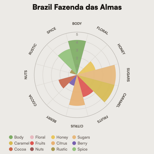 Brazil Fazenda das Almas