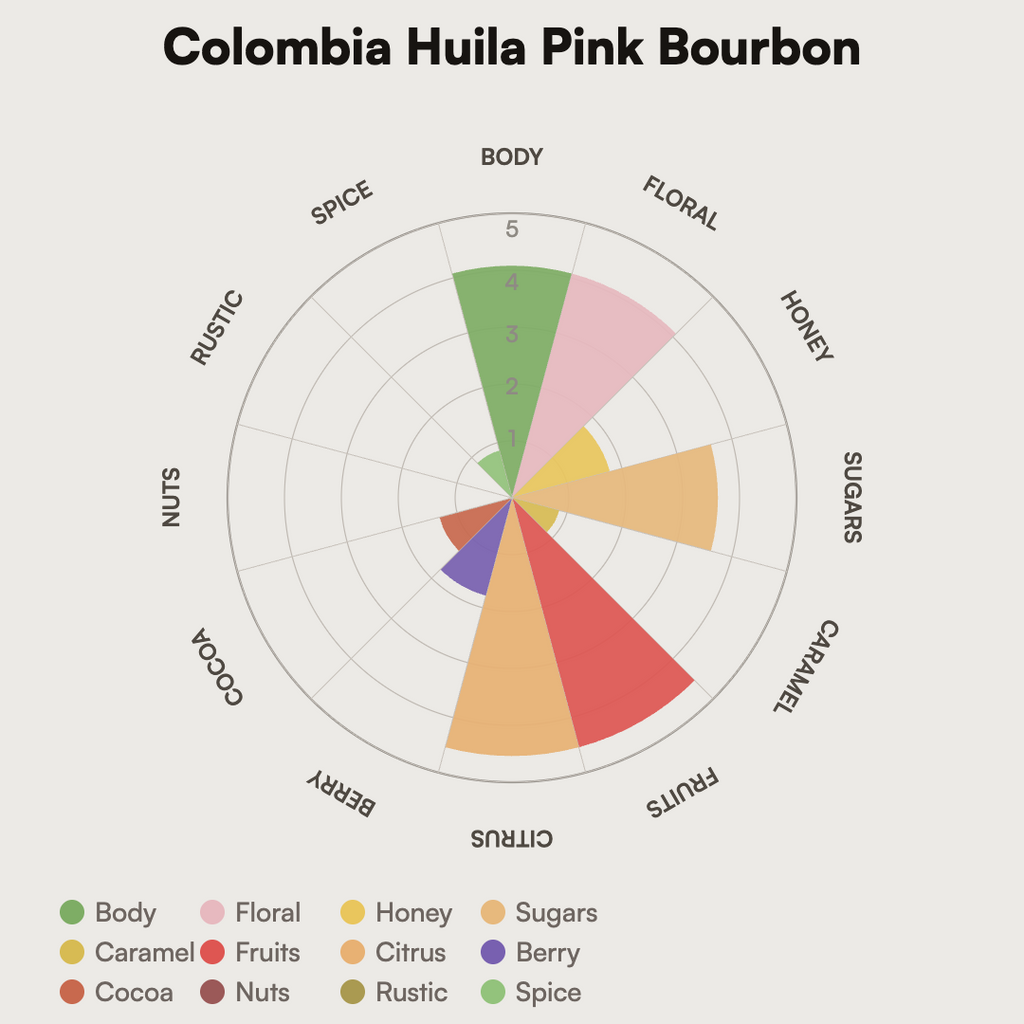 Colombia - Huila Pink Bourbon
