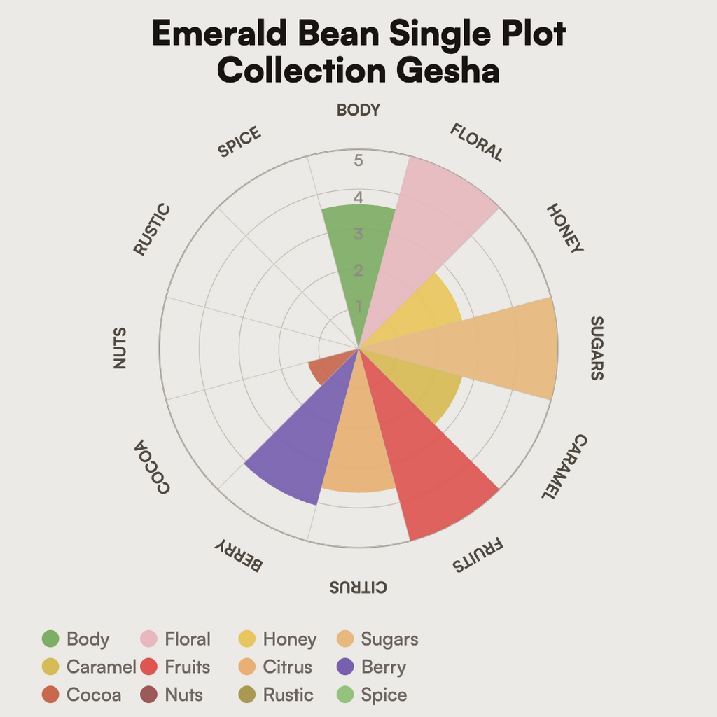 Colombia - Emerald Bean Single Plot Collection Gesha