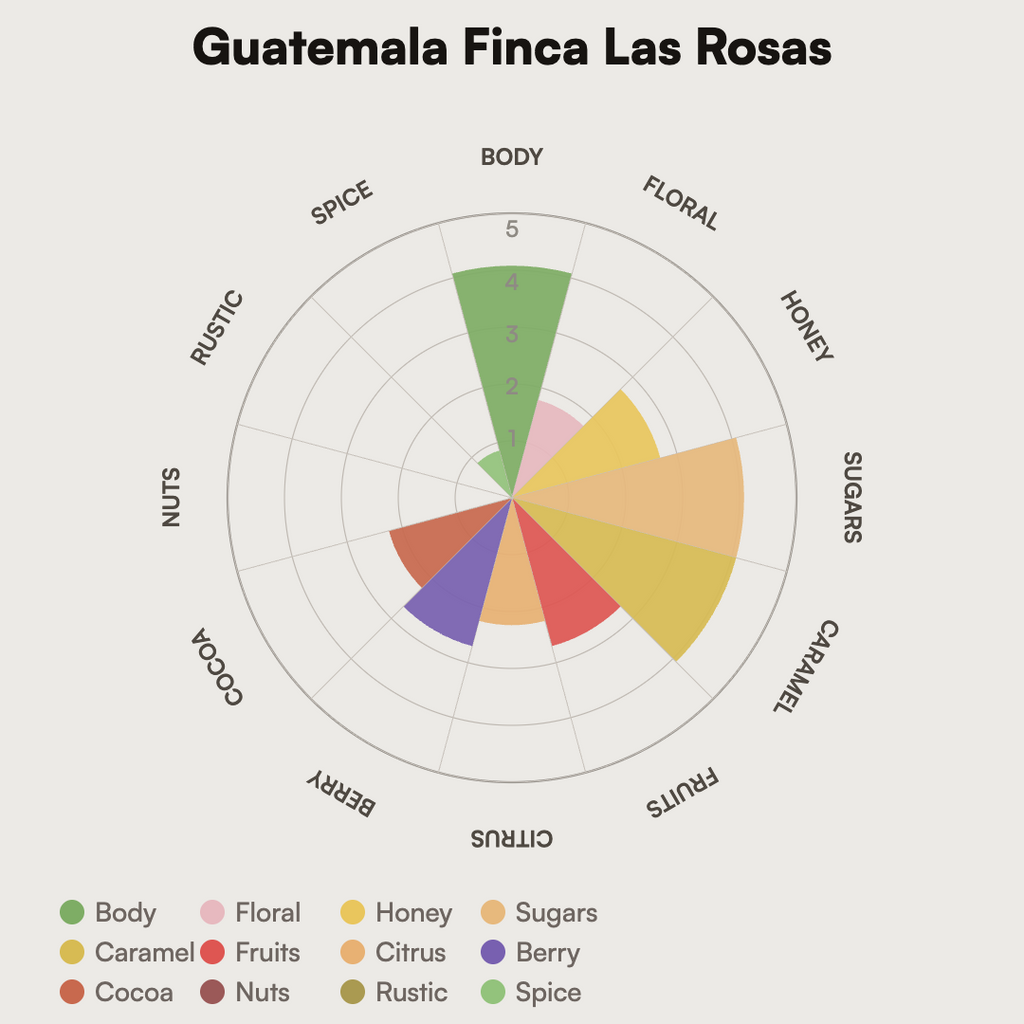 Guatemala - Finca Las Rosas
