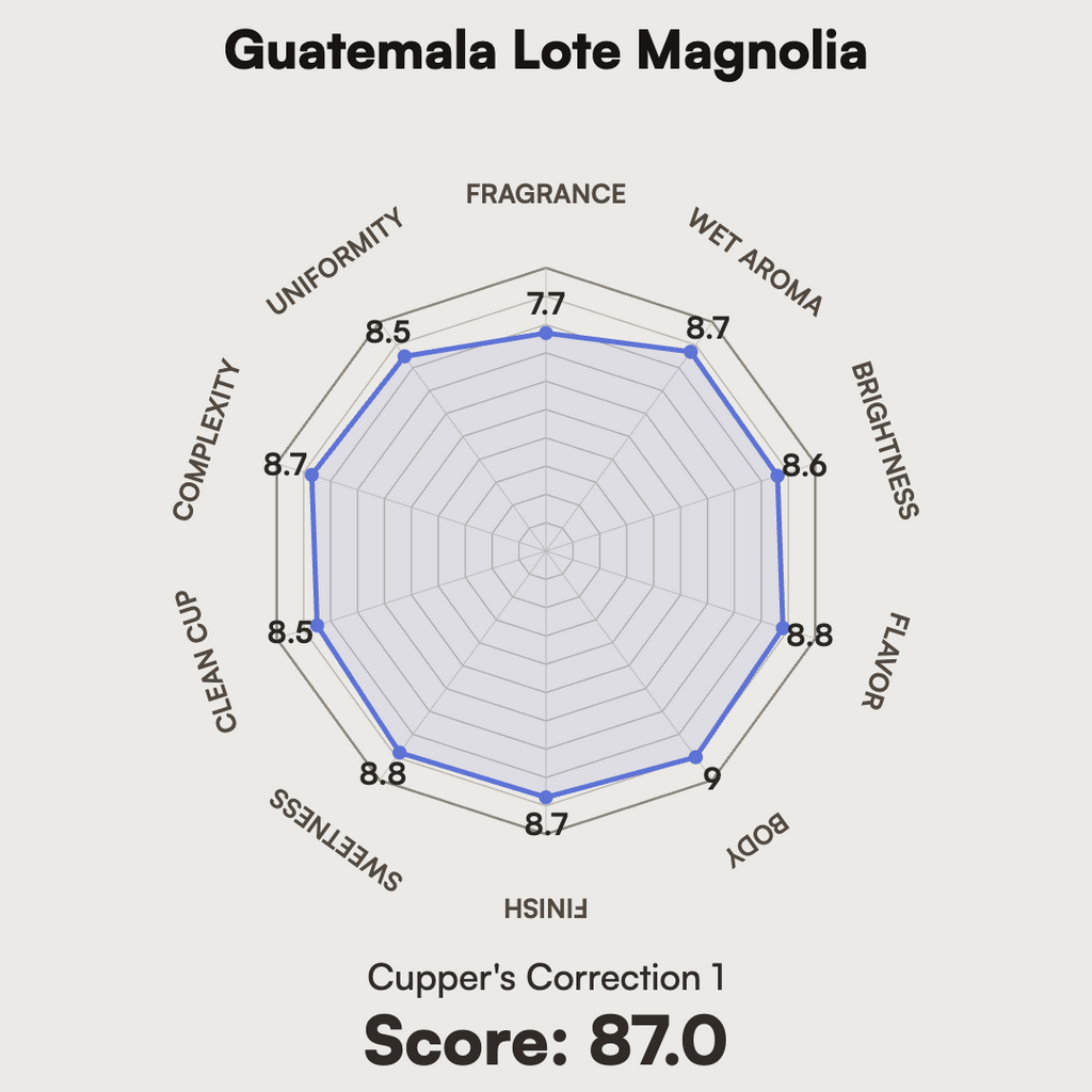 Guatemala - Lote Magnolia