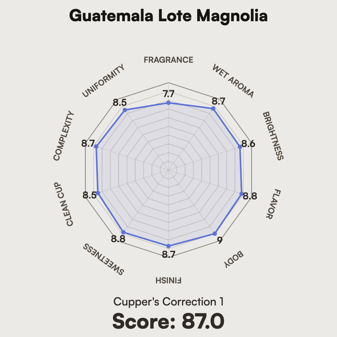Guatemala - Lote Magnolia